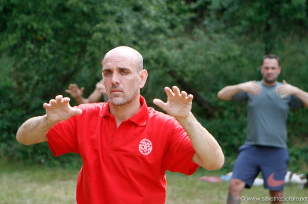 De Jochem Taikiken high walking on the field