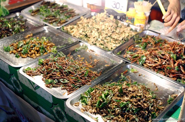 Spicy fried insects an excelent source of protein