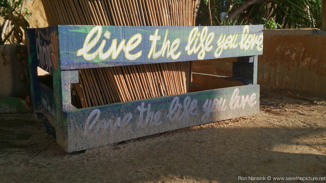 Ibiza retreats Natural Tuning and Detox good advice