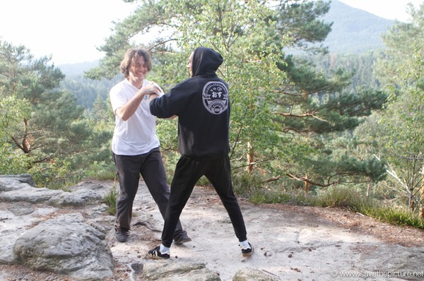 Lucian and Omid practicing Taikiken pushing hands