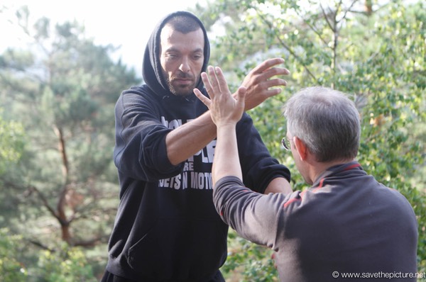 Omid and Uwe, Taikiken pushing hands