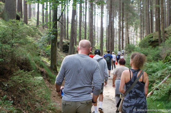 Relaxing walk through Nature