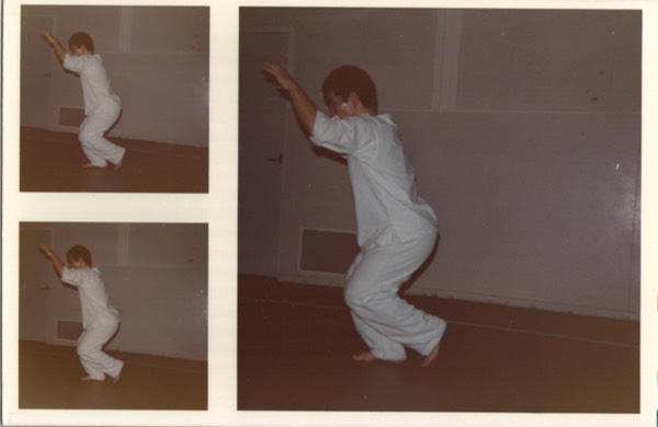 Rinus Schulz Shinbuken Sato sensei