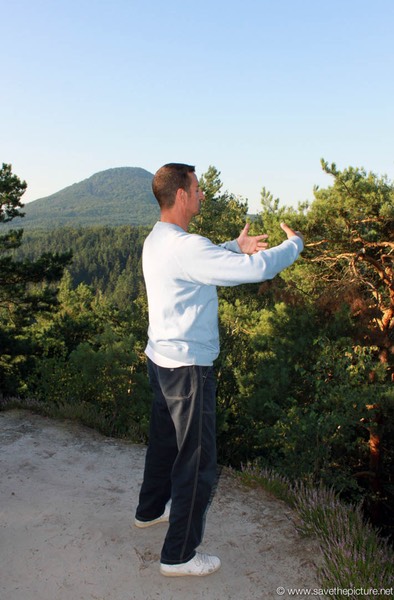 Ritsuzen forza Italia