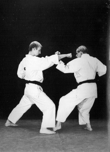 Rinus Schulz Kyokushinkai 2