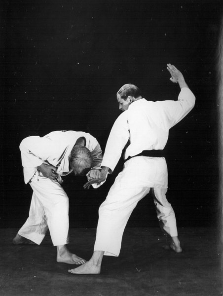 Rinus Schulz Kyokushinkai 4