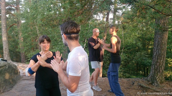 Single hand pushing, coordination exercise