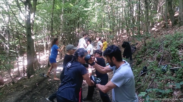 Taikiken application training