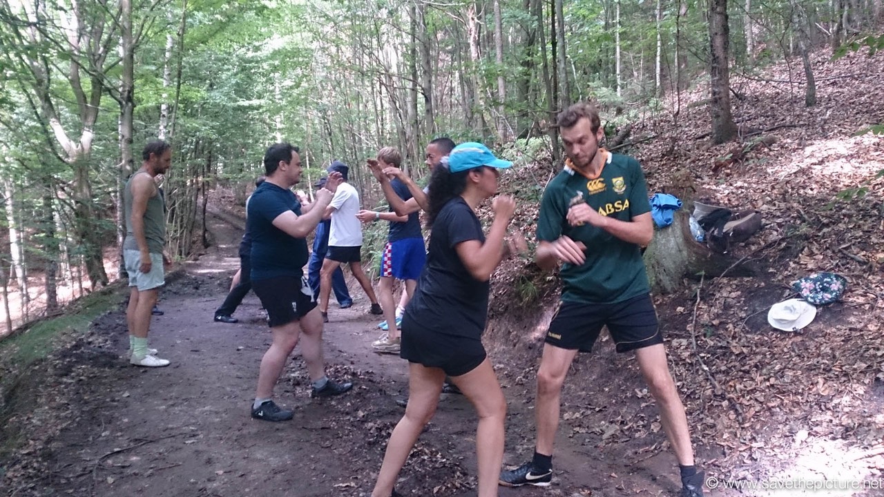 Taikiken applications