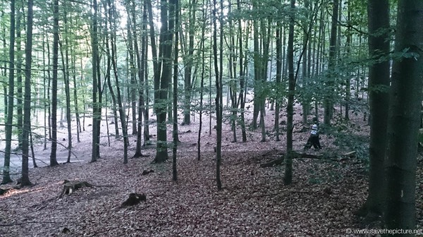 Taikiken blindfold walking in free nature, sensing space exersise