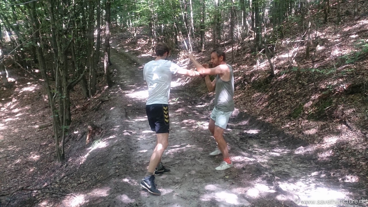 Taikiken defense training