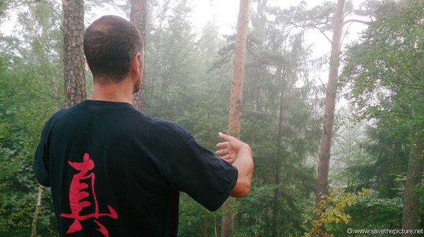 Taikiken and Kyokushin karate do have a long history in martial arts