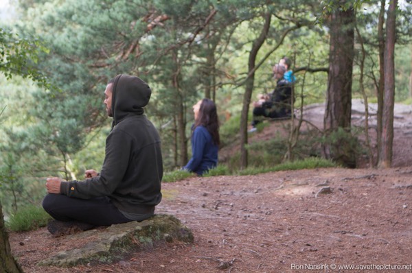 Taikiken Natural Tuning 2016, early morning sitting meditation with a birdview
