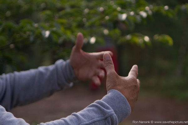 Taikiken Natural Tuning 2016, Ritsuzen, the feel of nature
