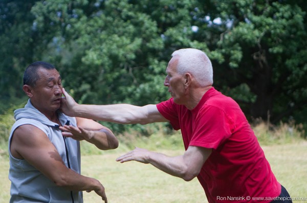 Taikiken Natural Tuning 2016, should keep your defense high