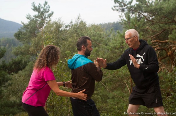 Taikiken Natural Tuning 2016, single hand pushing hands with little adjustments