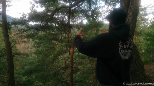 Taikiken, Omid Ritsuzen