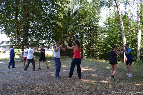Taikiken outdoor training in the shade of the tall trees