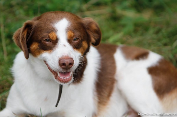 Taikiken relaxing zen