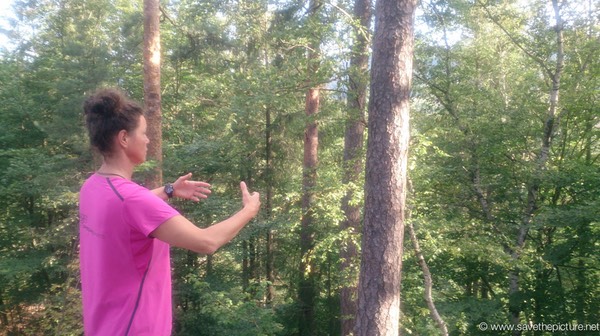 Taikiken Ritsuzen Nadja early morning