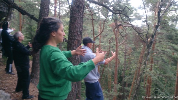 Taikiken Ritsuzen standing on the edge