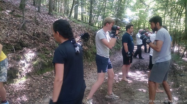 Taikiken training in the shadow of the forest