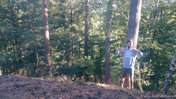 Taikiken tree power Omid