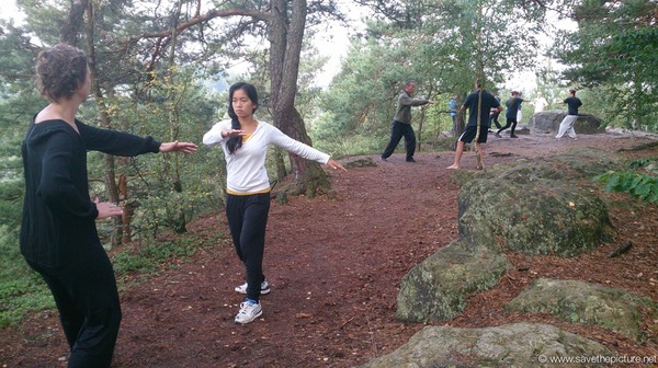 Taikiken Harai-te two circles exercise with steps