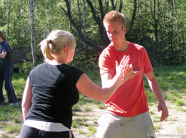 Taikiken pushing hands