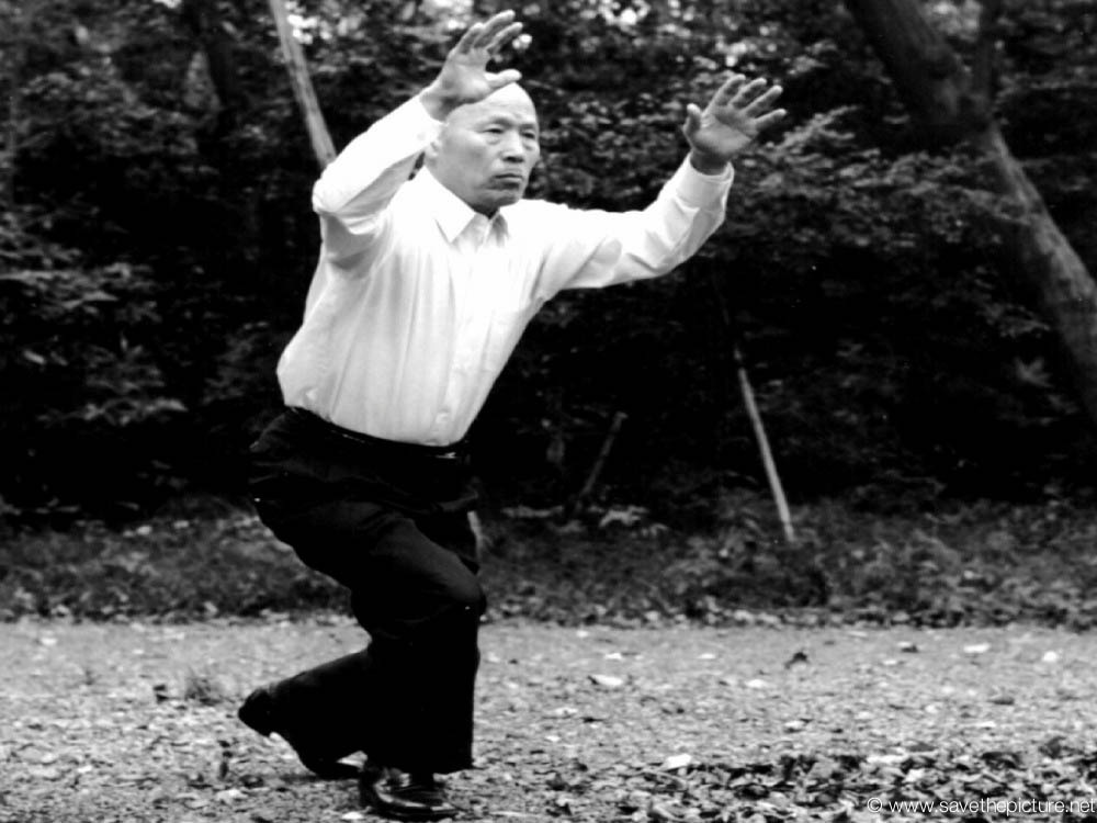 Taikiken Kenichi Sawai Tokyo Meiji jingu 21