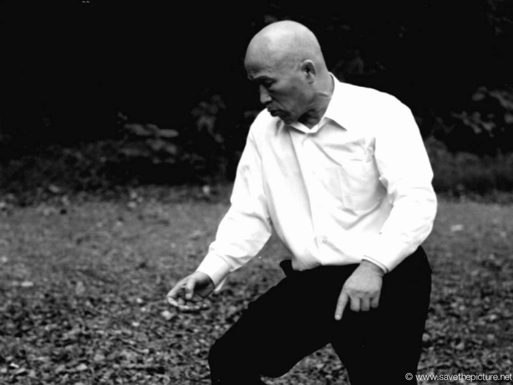 Taikiken Kenichi Sawai Tokyo Meiji jingu 22