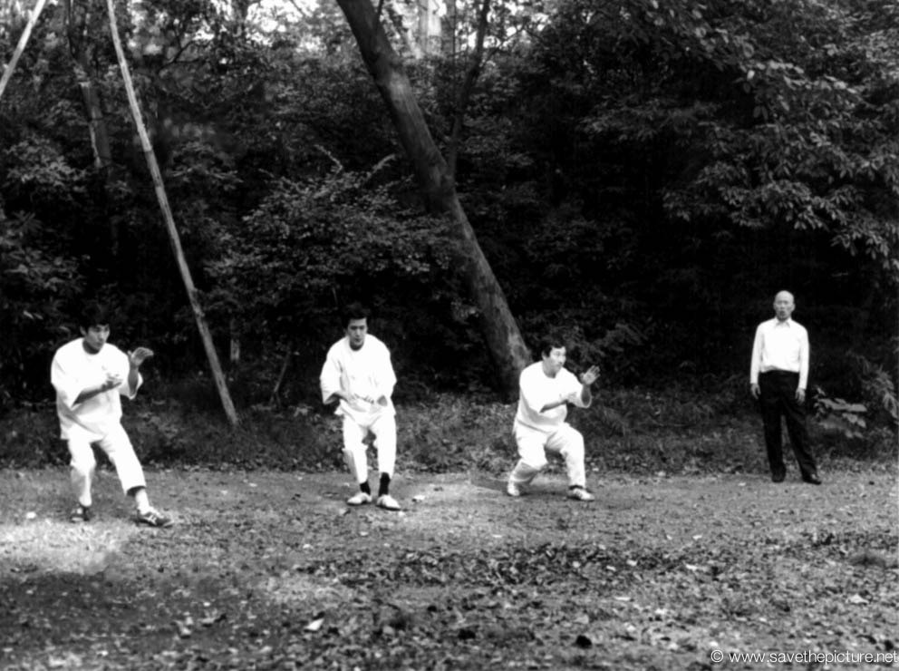 Taikiken Kenichi Sawai Tokyo Meiji jingu 29